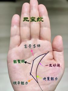 哪種手相注定有錢，宋守蘭這名字有福嘛?