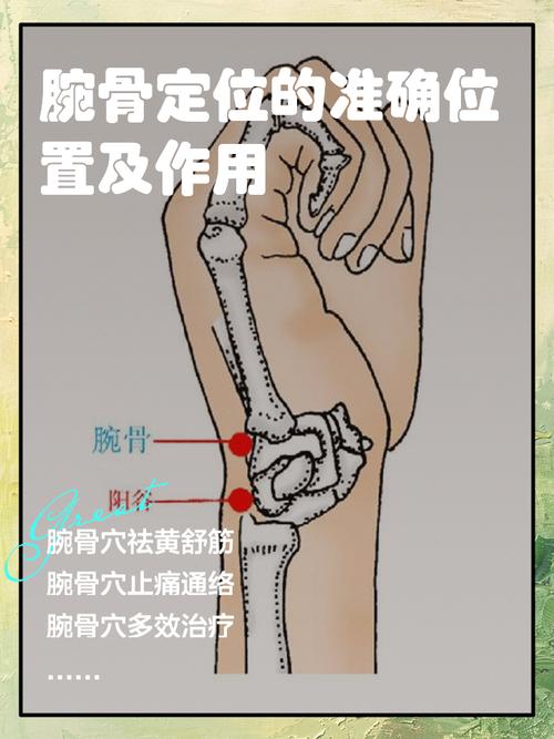 陽骨在哪個位置，陽骨有什么說法