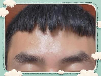 獅子眉是什么樣子的