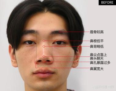 鼻子高但短的男人面相 自我執著