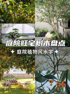 關于庭院綠化風水的知識