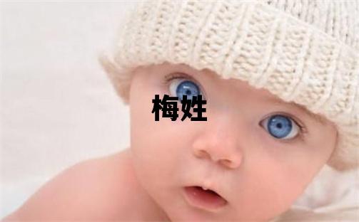 梅姓有涵養的男孩名字