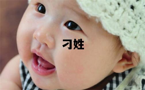 刁姓有靈氣的男孩名字,取什么名字好