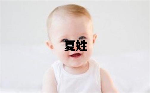 夏姓有詩意的女孩名字