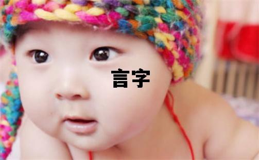 言字五行屬什么 言字男孩最佳組合名字