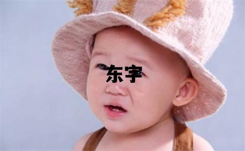 東字取名的寓意 東字取名的寓意男孩