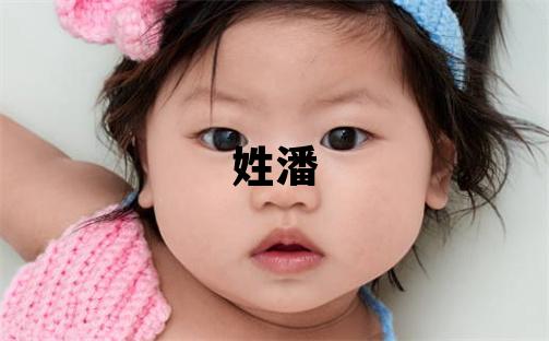 姓潘叫什么名字好 姓潘的男孩有涵養的名字