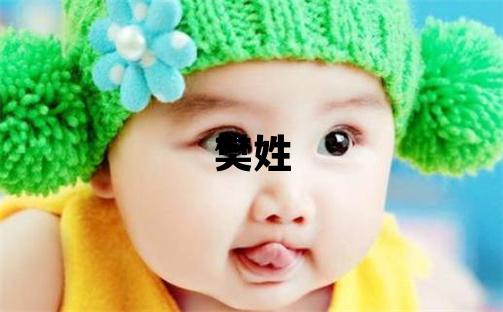 樊姓有智慧才氣的男孩名字,取什么名字好