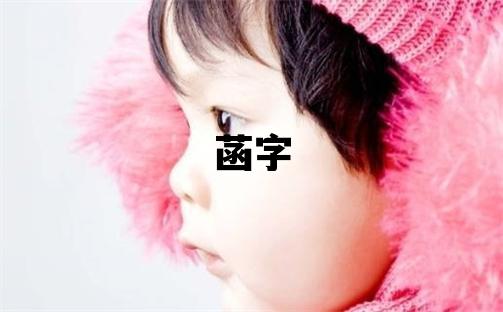 菡字五行屬什么 菡字女孩最佳組合名字