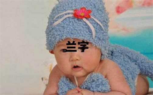 蘭字取名的寓意和含義 女孩用蘭字取名