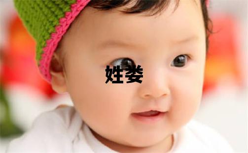 姓婁叫什么名字好 姓婁的男孩吉利的名字