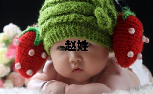 趙姓有氣質的女寶寶名字