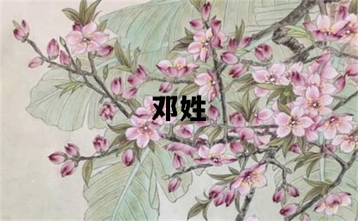 鄧姓取名獨特優美的男寶寶名字