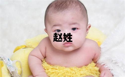 趙姓有智慧才氣的女孩名字