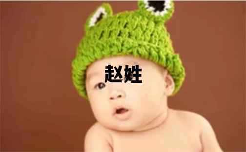 趙姓大氣文雅的女孩名字,取什么名字好