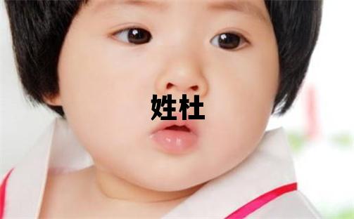 姓杜叫什么名字好 姓杜的男孩朗朗上口的名字