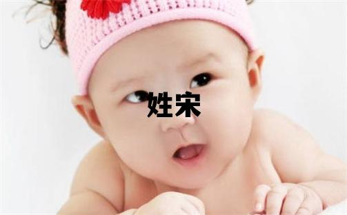 姓宋叫什么名字好 姓宋的女孩有新意的名字