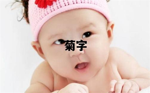 菊字五行屬什么 菊字女孩最佳組合名字