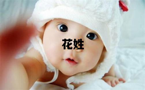 花姓有靈氣的男寶寶名字