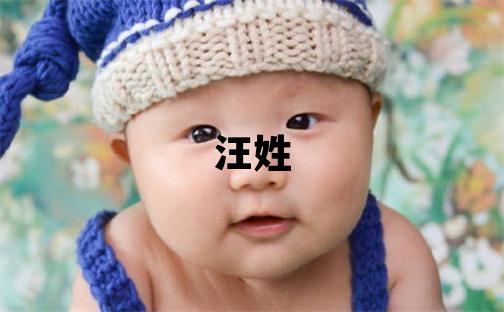 汪姓取名有新意的男寶寶名字