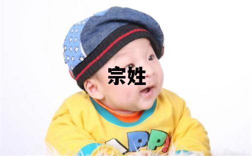 宗姓獨特優美的男孩名字