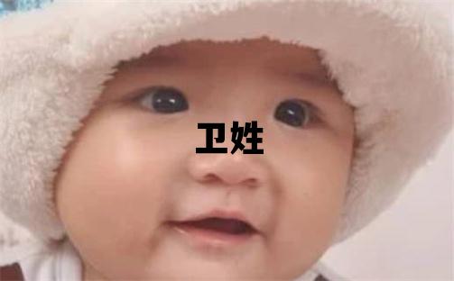 衛姓優美的男孩名字,取什么名字好