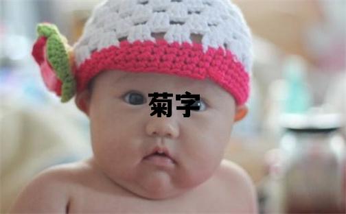 菊字取名的寓意 菊字取名的寓意女孩