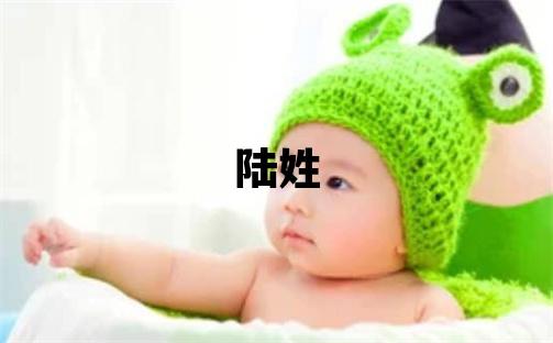 陸姓有新意的男孩名字