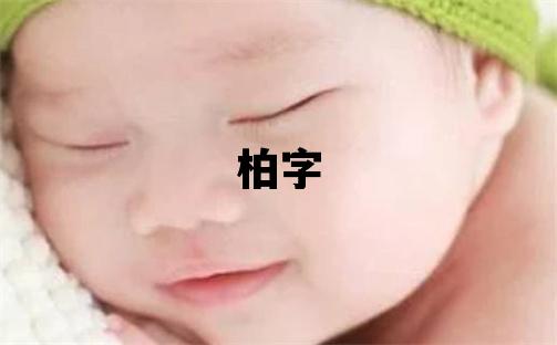 柏字取名的寓意 柏字取名的寓意男孩