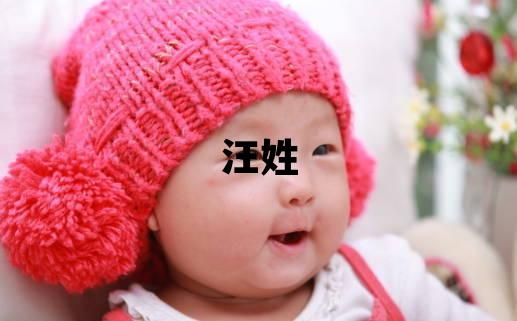 汪姓取名冷門獨特的男寶寶名字