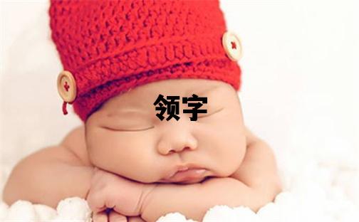領字取名的寓意 領字取名的寓意男孩