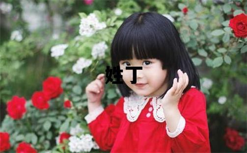姓丁叫什么名字好 姓丁的男孩有氣質的名字