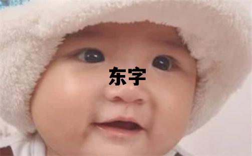 東字取名的寓意和含義 男孩用東字取名