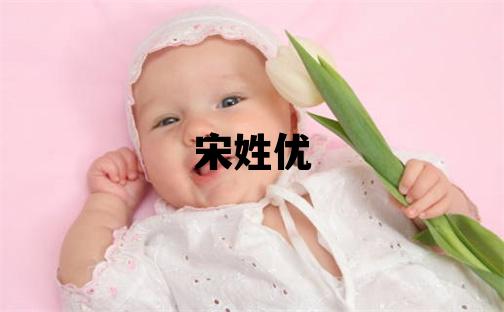 宋姓優美的男寶寶名字