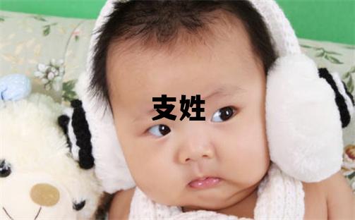 支姓優美大方的男孩名字