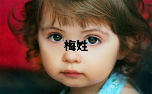 梅姓朗朗上口的男孩名字