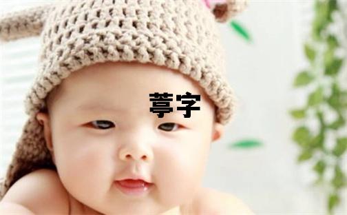 葶字五行屬什么 葶字取名寓意女孩