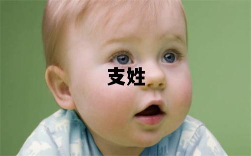 支姓取名有新意的男寶寶名字