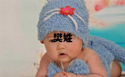 樊姓有詩意的男寶寶名字