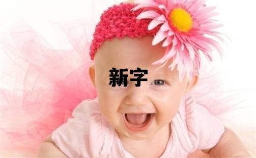 新字取名的寓意 新字取名的寓意男孩