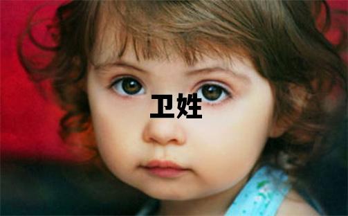 衛姓有涵養的男孩名字,取什么名字好