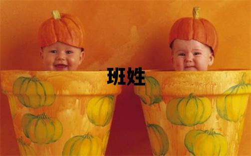 班姓有含義的男寶寶名字