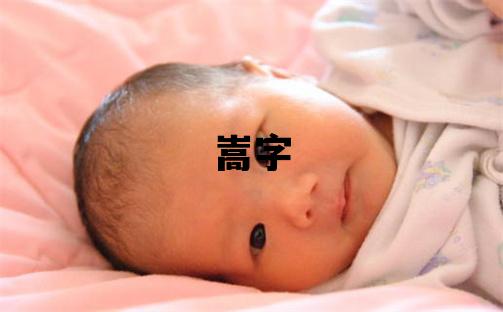 嵩字取名的寓意和含義 男孩用嵩字取名