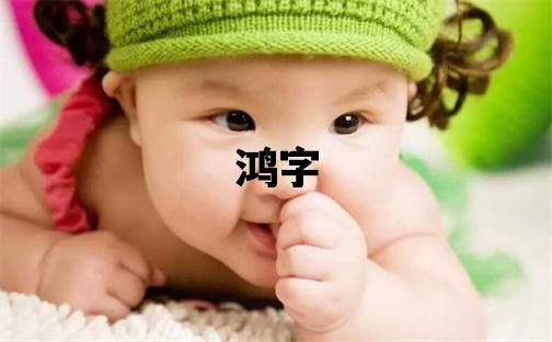 鴻字取名的寓意和含義 男孩用鴻字取名