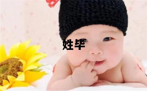 姓畢叫什么名字好 姓畢的女孩有新意的名字