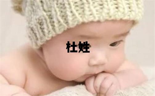 杜姓有新意的男寶寶名字