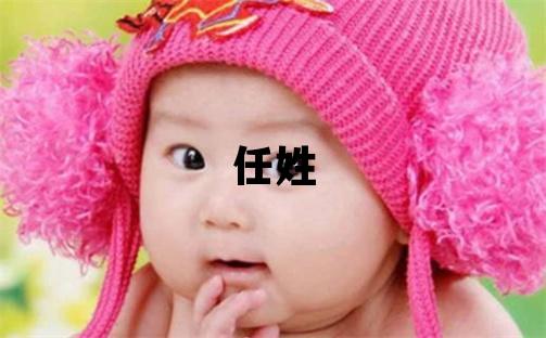 任姓優美大方的男孩名字,取什么名字好
