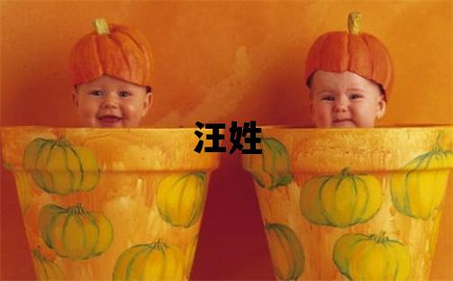 汪姓有詩意的男孩名字