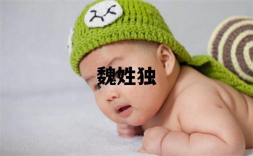 魏姓獨特優(yōu)美的男孩名字