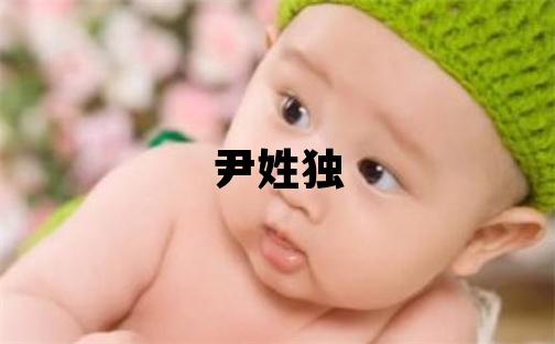 尹姓獨(dú)特優(yōu)美的女孩名字,取什么名字好